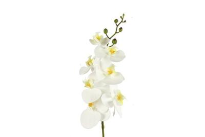 Kunstbloem Phalaenopsis wit Countryfield - Countryfield
