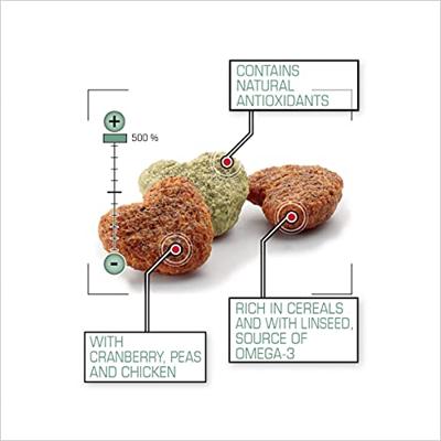 Versele-Laga Complete Rat & Mouse muizen- en rattenvoer 2 x 2 kg Versele-Laga Complete Rat & Mouse muizen- en rattenvoer 2 x 2 kg