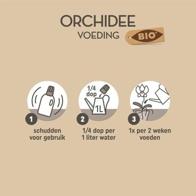 Pokon Orchidee Voeding Bio 500ml - thumbnail
