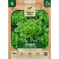 Andijvie escariol groen 300st - thumbnail