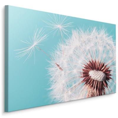 Schilderij - Prachtige Paardenbloem , Wanddecoratie , Premium print