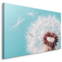 Schilderij - Prachtige Paardenbloem , Wanddecoratie , Premium print - thumbnail