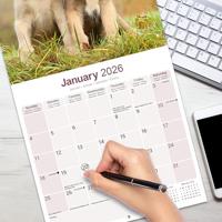 Ierse Wolfshond Kalender 2026 - thumbnail