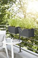 Poetic plantenbak beugel special metaal antraciet 25 cm set van 2 | 10 stuks - thumbnail