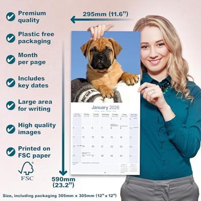 Bullmastiff Kalender 2026
