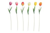 Countryfield Tuinsteker Tulipa H60cm - thumbnail