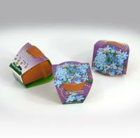 Greengift Terracotta Vergeet me niet - thumbnail