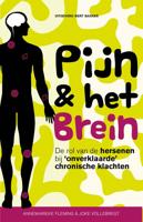 Pijn & het brein - Annemarieke Fleming, Joke Vollebregt - ebook - thumbnail