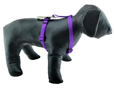 Nobleza H-Tuigje kleine hond - Nylon - Maat XS