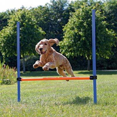 Trixie Fun Agility Horde hond Trixie Fun Agility Horde hond