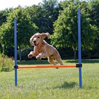 Trixie Fun Agility Horde hond - thumbnail