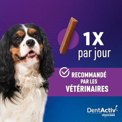 DentActiv - 12 Sticks - VETOCANIS - 12 Mini Rundvlees Mondhygiëne Sticks voor Honden 2-15kg