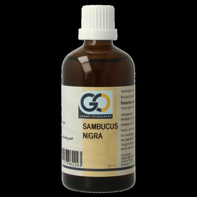 Sambucus nigra bio 100 Milliliter