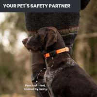 MiniFinder Atto Pro GPS-tracker Huisdiertracker, Live Tracking Zwart 1 stuk(s) - thumbnail