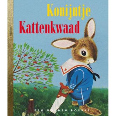 Konijntje kattenkwaad (Hardback)