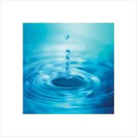 Kunstdruk Droplets 40x40cm - thumbnail