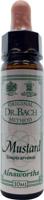 Ainsworths Mustard Bach 10 Milliliter - thumbnail
