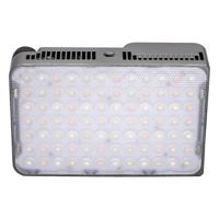 amaran Ace 25c Silver - thumbnail