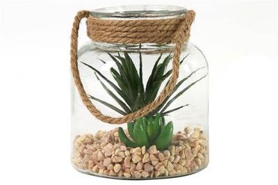 Glas succulent Sarila L