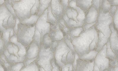 Dutch Wallcoverings Yudashkin 5 10X1,06M - Grijs/Goud