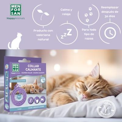 Kattenbak Menforsan 33 cm Lila Natuurlijk rubber