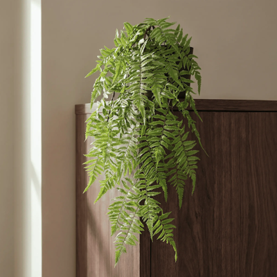 Bosvaren Kunst hangplant 60cm