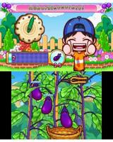Nintendo Gardening Mama: Forest Friends Basis Nintendo 3DS - thumbnail
