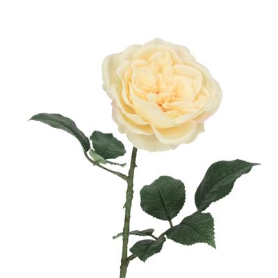 Engelse Tuinroos Kunsttak 56cm Creme