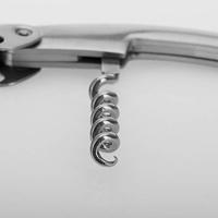 Westmark Kelnersmes RVS - thumbnail