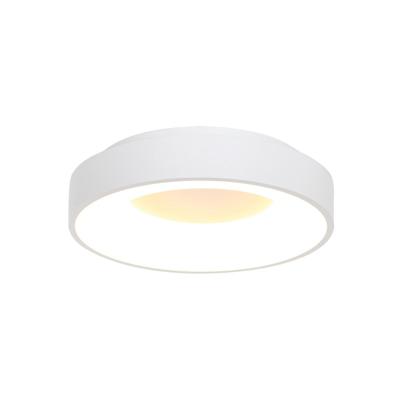 Steinhauer Led plafonnièreRinglede Ø 38cm - 2562W