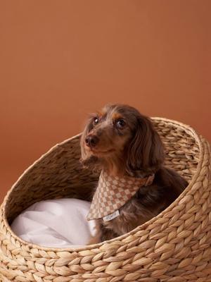 Geruite bandana halsband voor hond FAMILY bruin, geruit Geruite bandana halsband voor hond FAMILY bruin, geruit