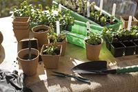 Connex Kweekbak 54X15X12Cm (18 Bio-Pots) - FLOR79010 - thumbnail