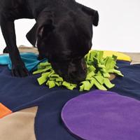 Knauder's Best Honden-snuffelmat Flower Pad, bont - thumbnail