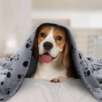 Nobleza Huisdierdeken - Fleece - Grijs met pootafdruk - Maat L - 100x160 cm - thumbnail