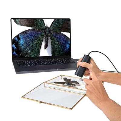 IPEVO P2V ULTRA 4K/13MP objectcamera met cameraclip, 1 cm supermacrofocus, handheld, webcam en doc-camera, ingebouwde microfoon met AI-ruisonderdrukking, voor close-up demo, onderwijs en online
