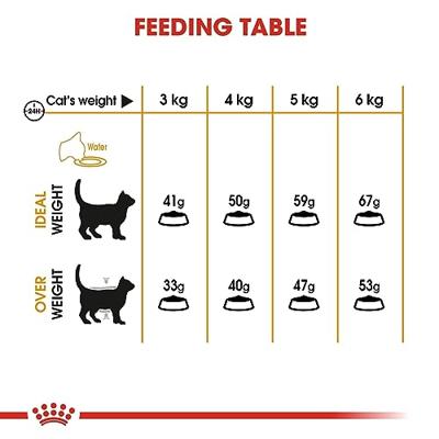 Royal Canin Hair & Skin Care kattenvoer 4 kg