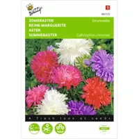 Callistephus, Zomeraster Struisveder gemengd - thumbnail