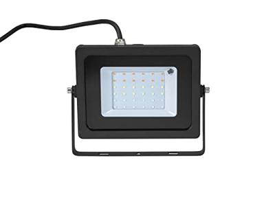 Eurolite LED IP FL-30 SMD RGB floodlight