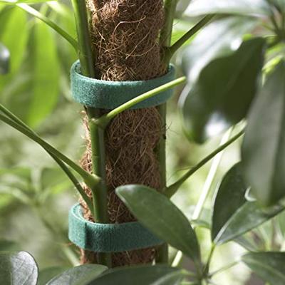 Connex Plantverbinding Met Velcro 7.5M - FLOR78655