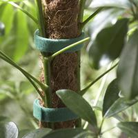 Connex Plantverbinding Met Velcro 7.5M - FLOR78655 - thumbnail