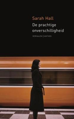 De prachtige onverschilligheid - Sarah Hall - ebook