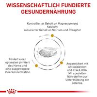 Royal Canin Veterinary Urinary S/O Ageing 7+ hondenvoer 1,5 kg - thumbnail