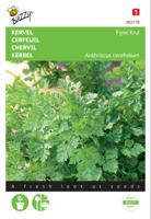 Zaden Kervel Fijne Krul Buzzy - Buzzy - thumbnail