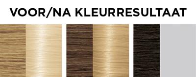 L'Oréal Paris Excellence 10 Extra Licht Blond L'Oréal Paris Excellence 10 Extra Licht Blond