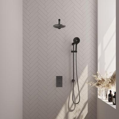 BRAUER Gunmetal Edition thermostatische inbouw regendouche 3-weg omstelling SET 43 met 20 cm douchekop en rechte muurarm en 3-standen handdouche en doucheslang en geïntegreerde glijstang gunmetal geborsteld PVD BRAUER Gunmetal Edition thermostatische inbouw regendouche 3-weg omstelling SET 43 met 20 cm douchekop en rechte muurarm en 3-standen handdouche en doucheslang en geïntegreerde glijstang gunmetal geborsteld PVD