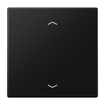 JUNG LS 990 SWM schakelwip enkel LS990 grafiet mat zwart voor aan uit schakelaar