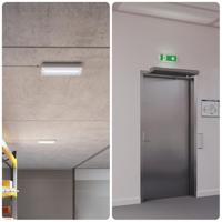 Salus LED Noodverlichting met accu wand-/plafondmontage 3 Watt 6500K IP65 Spatwaterdicht Incl. pictogram met vluchtwegaanduiding - thumbnail