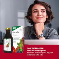 Floradix IJzer - thumbnail