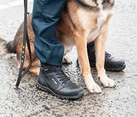 Safety Jogger Shark Hoog S3 | Zwart | Maat 39 - 00.118.065.39 - thumbnail