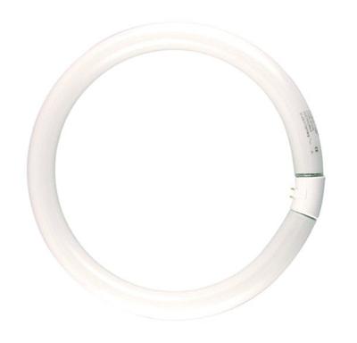 Philips Ronde TL 22W/840 TLE coolwhite Philips 5900609